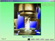 Compresi�n uniaxial. Prensa